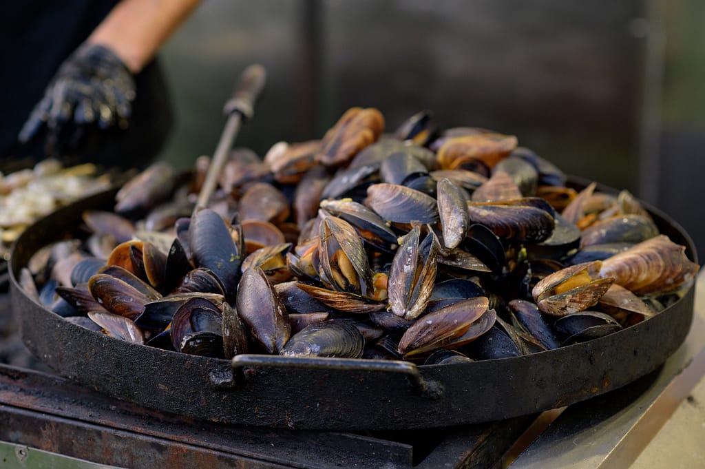 Cooked fried mussels with lemon. Street seefood