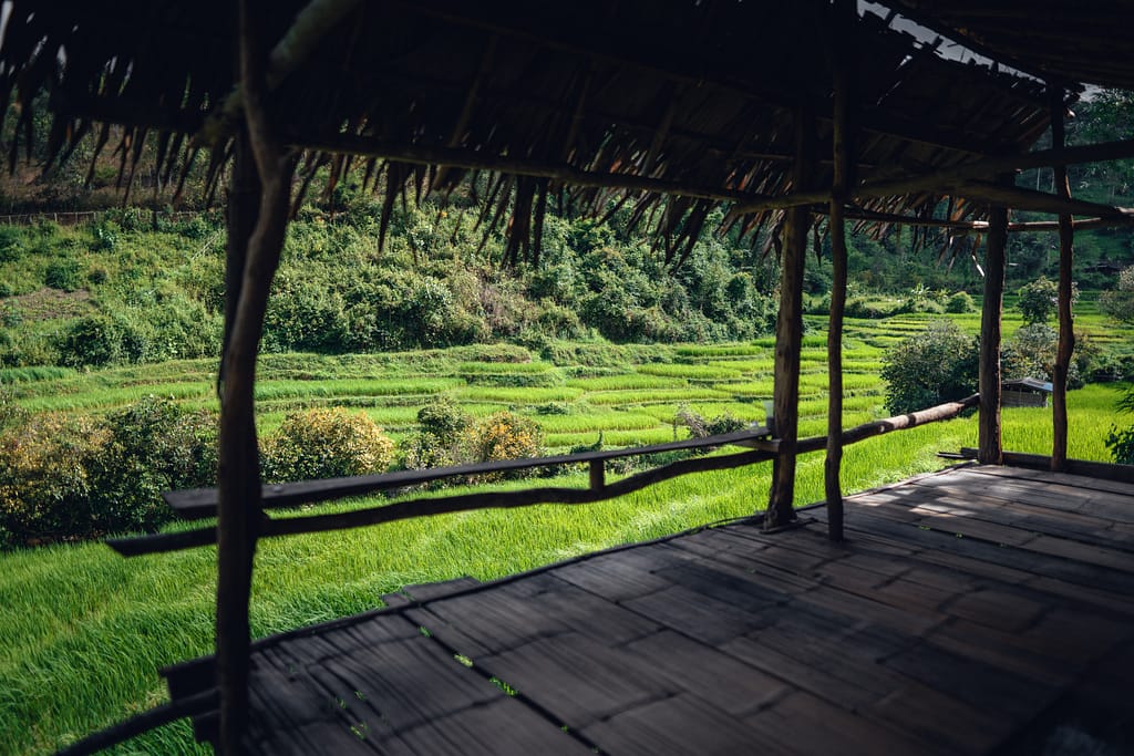 Rice fields and wooden hut balcony