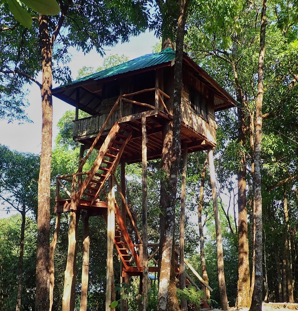 Wooden design of treehouse national park closeup outdoor blur background.